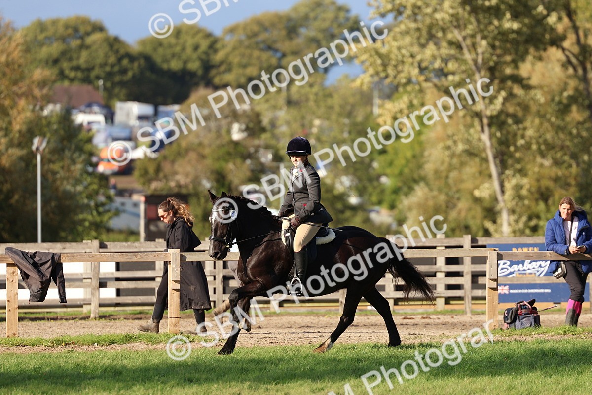 SBM_52522 - S13 - Pony Club Pony