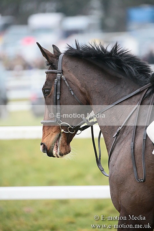 PtP 170219 -375 - Combined Services Point-To-Point Larkhill 17/02/19