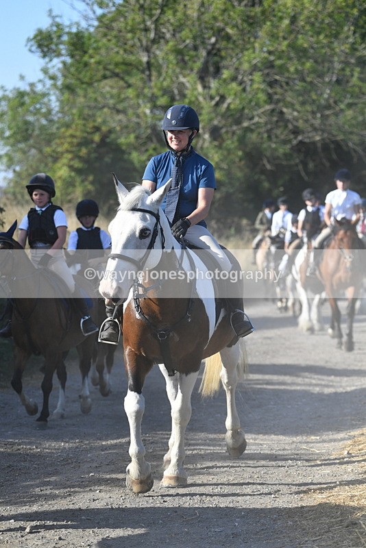 WJ5_4939 - Walk out with the hounds