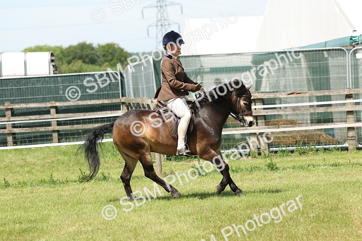SBM_06823 - Class 26-30 - Mountain and Moorland Ridden