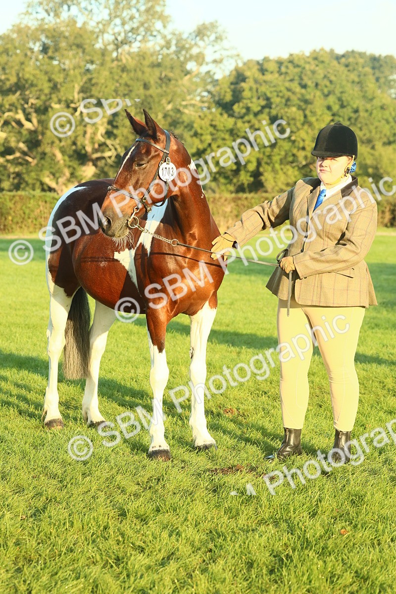 SBM_56534 - S36 - Starters Best Turnout