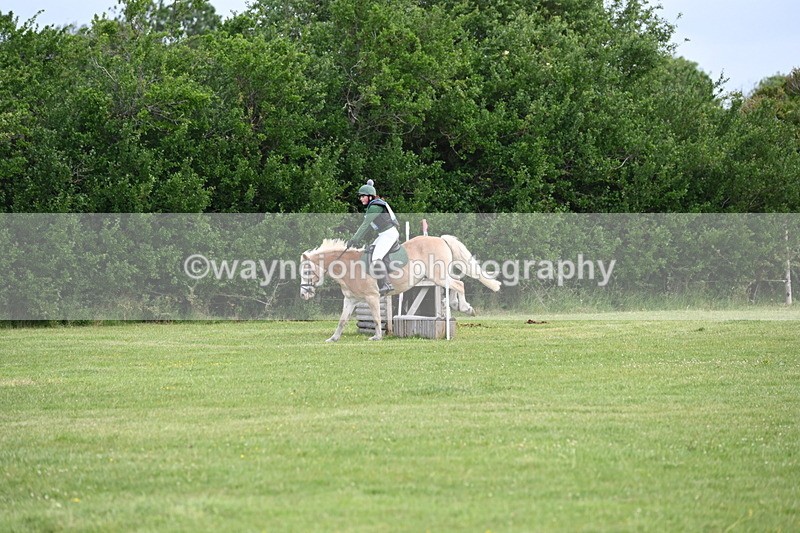 WJ6_2262 - Class 2 40cm