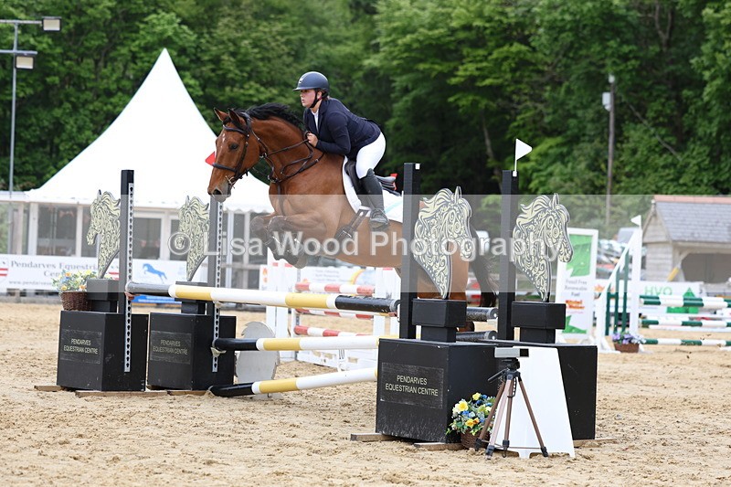 3E7A6389 - Class 4: Senior British Novice/90cm open
