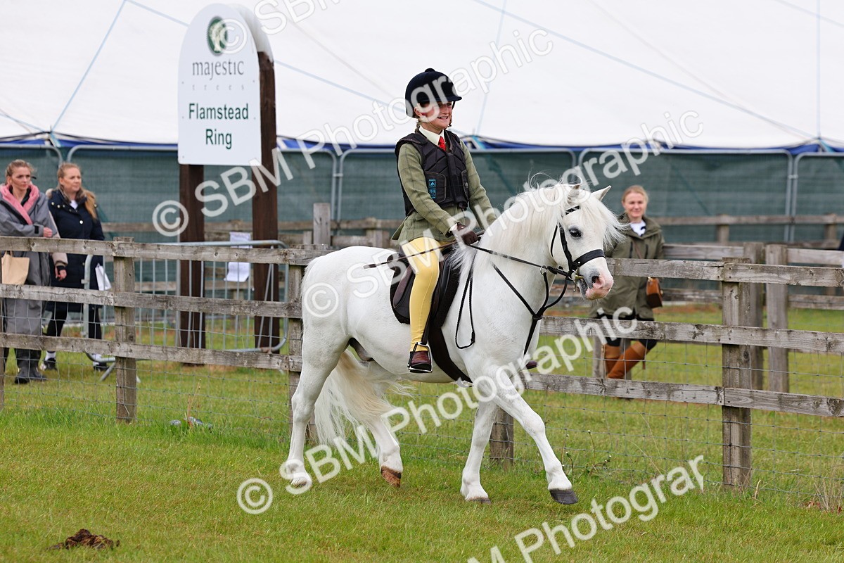 SBM_08517 - Class 42-43 - LIHS BSPS Heritage Working Sports Pony