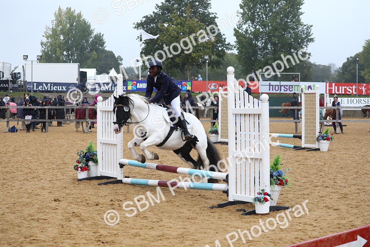 SBM_71450 - J4 - Mini Tour Junior Pony 45cm Championship