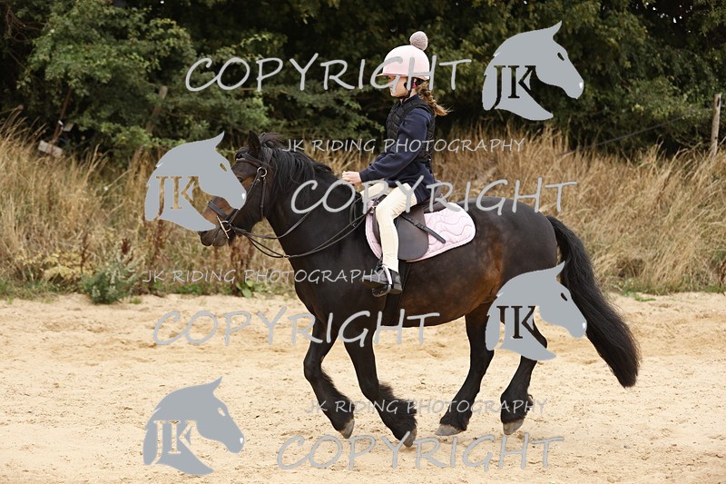 _R6A0990 - Sand arena