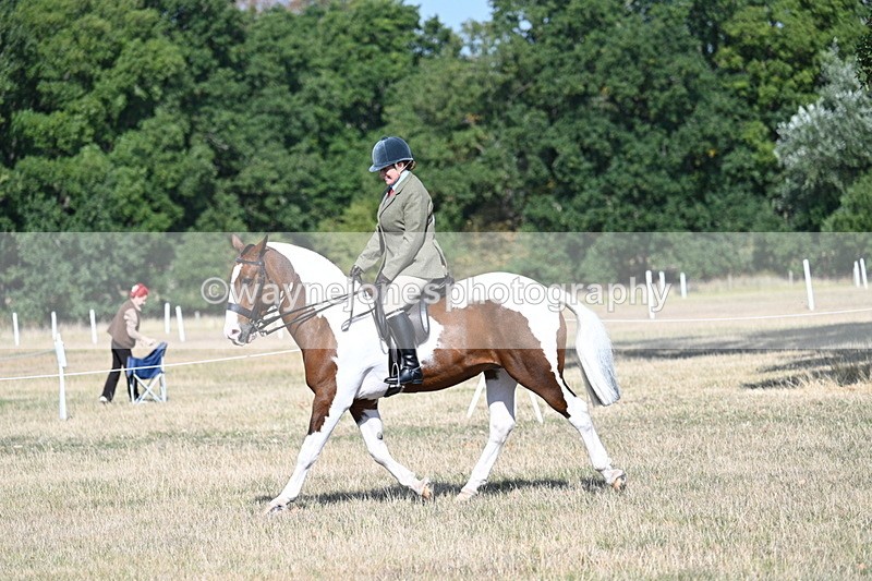 WJ7_2848 - Class 8 Ridden Tack & Turnout