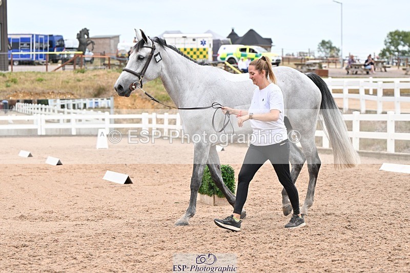 250716-160722-02422 - Trot Up 3.30 to 4.30