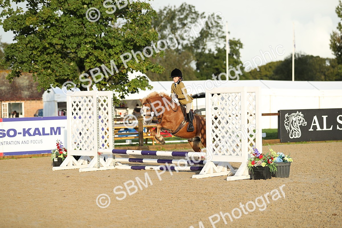 SBM_34136 - J60 Clear Round 50cm