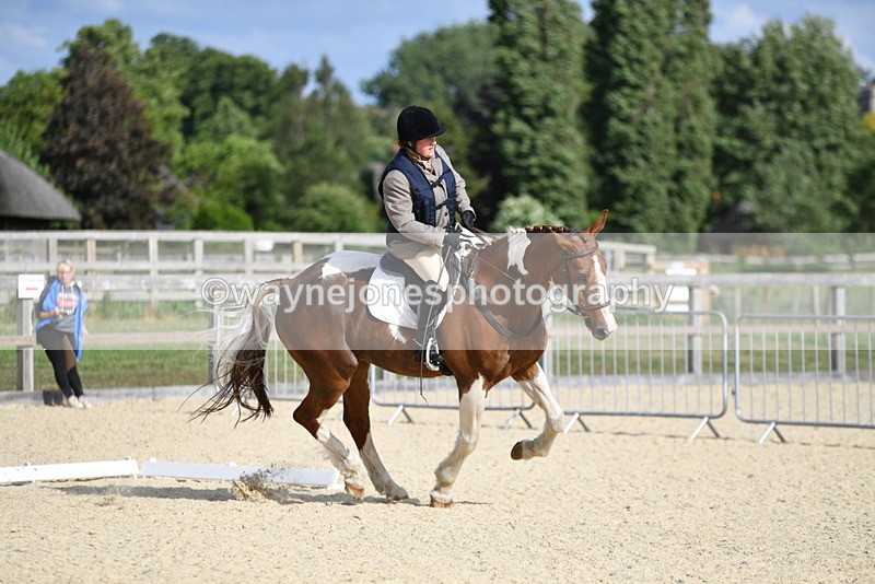 WJ5_8308 - Time 17:25 to 17:47