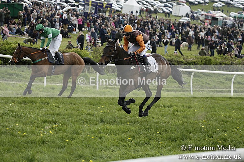 PtP 170417 200 - Old Berks Point-to-Point Lockinge 17/04/17
