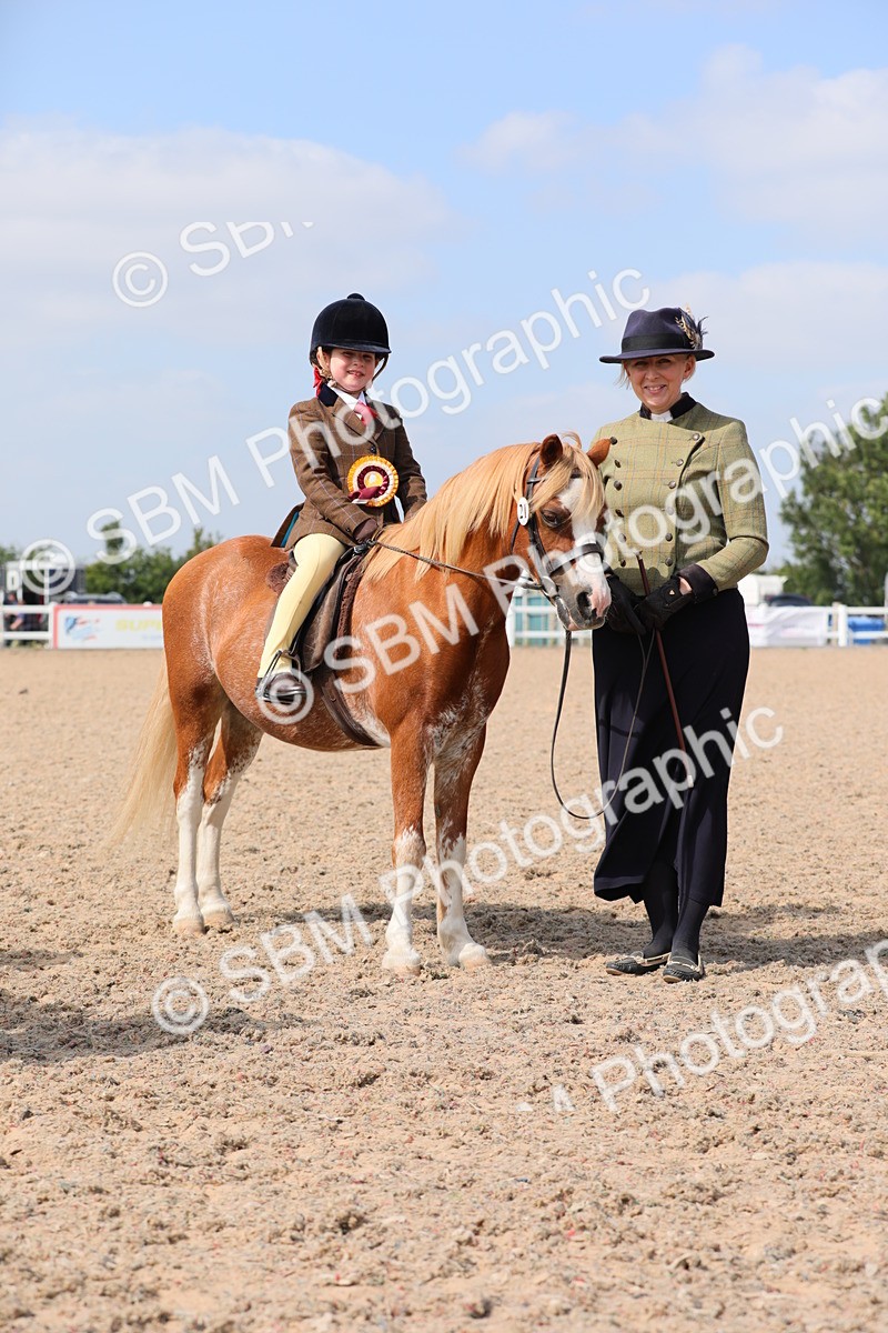 SBM_14107 - Class 309 Lead Rein Pony