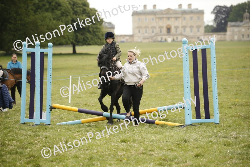 20250517-0296 - Class 1 - 30cm On Lead Rein