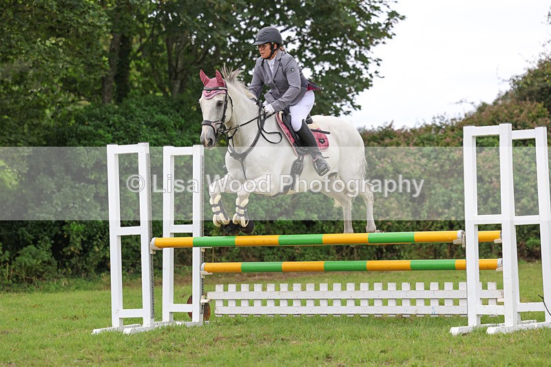 3E7A7231 - Class 5: Senior British Novice/90cm open