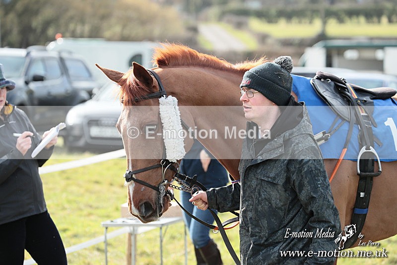 PtP 220225 422 - Kimblewick Point-to-Point  Kingston Blount 22/02/25