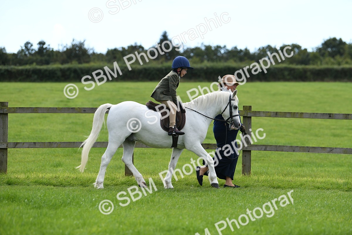 SBM_42467 - S20 - Lead Rein Mountain & Moorland Pony