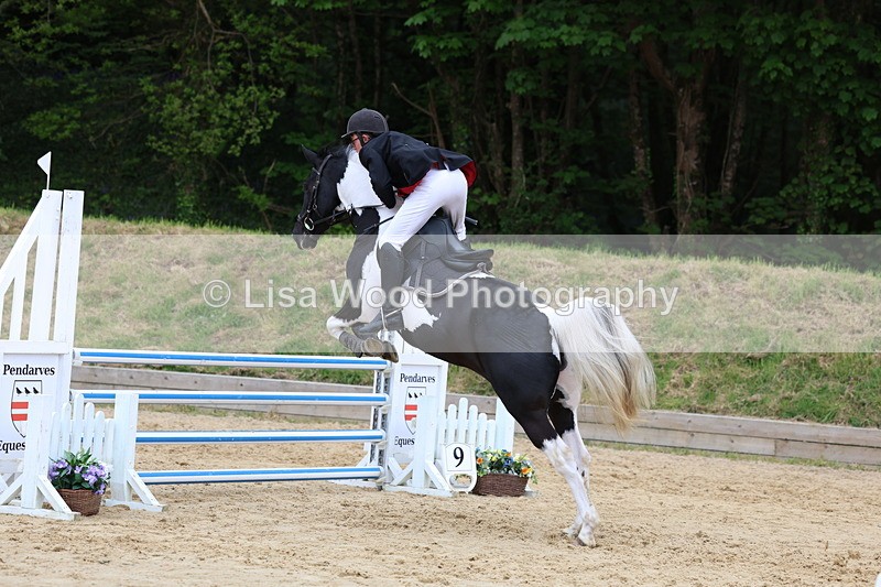 3E7A6521 - Class 4: Senior British Novice/90cm open