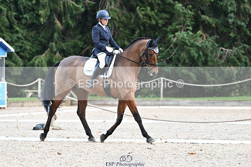 231110-143206-01949 - Cls 8 Medium 75Q