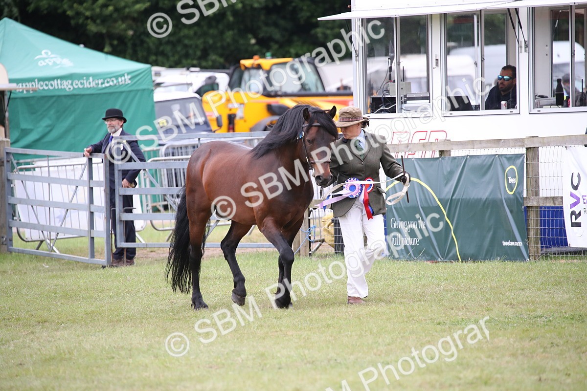 SBM_09764 - Ch 50 - Price Family Supreme In Hand