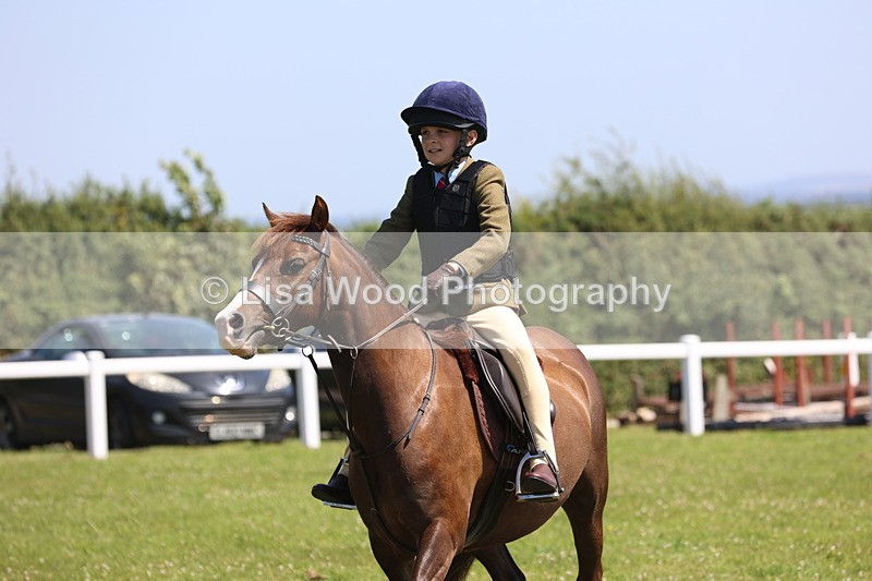 JPP_2215 - Class 20: Tiny Tots Working Hunter Pony