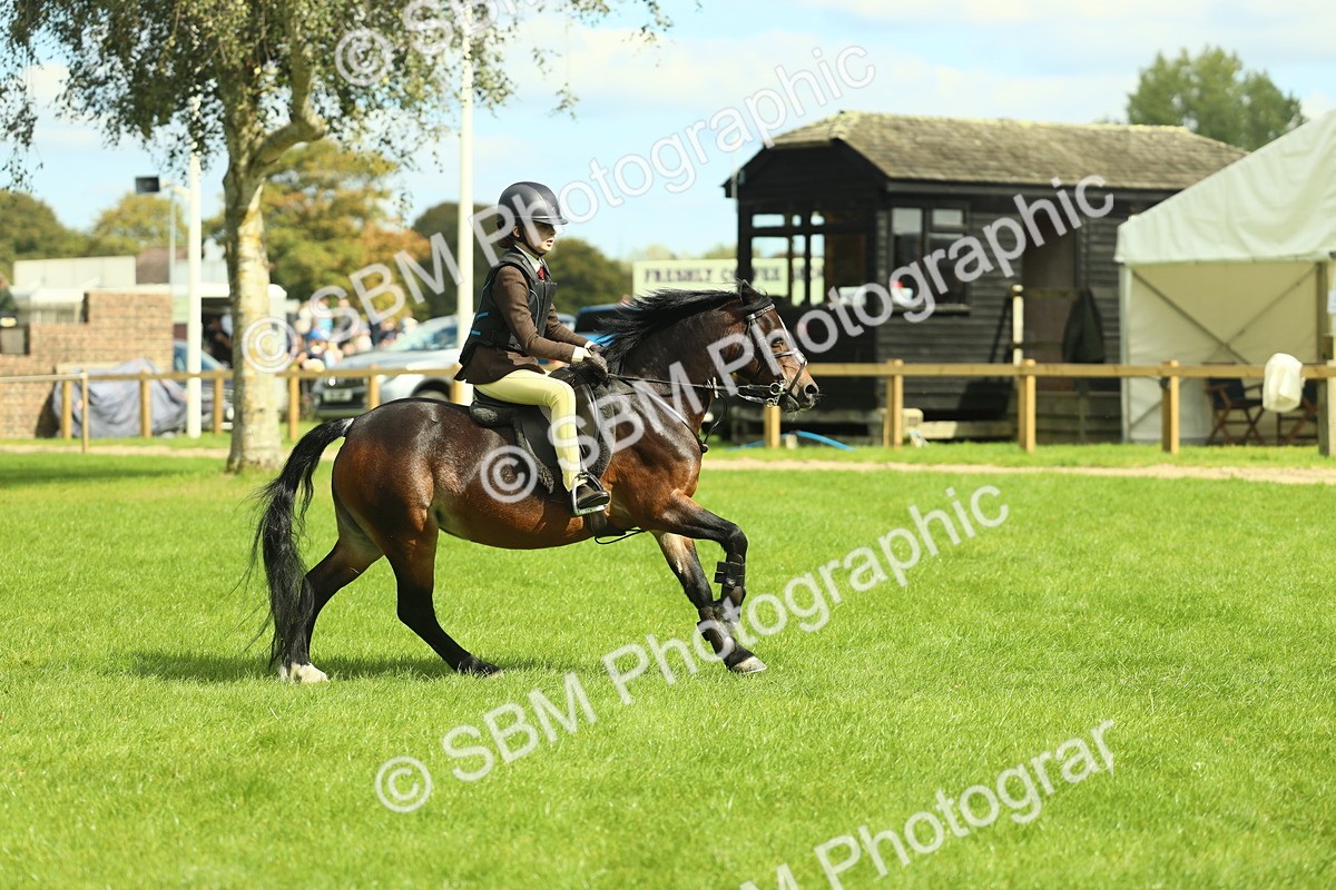 SBM_42747 - S30 - M&M Working hunter Pony