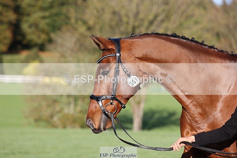 241027-085435-14889 - 301-Ilaria.Serra-DREAM.MACHINE