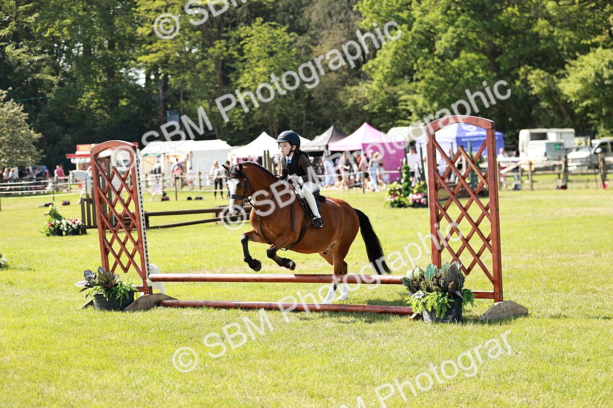 SBM_12737 - Class 106-107 - BSPS LIHS Working Sports Pony