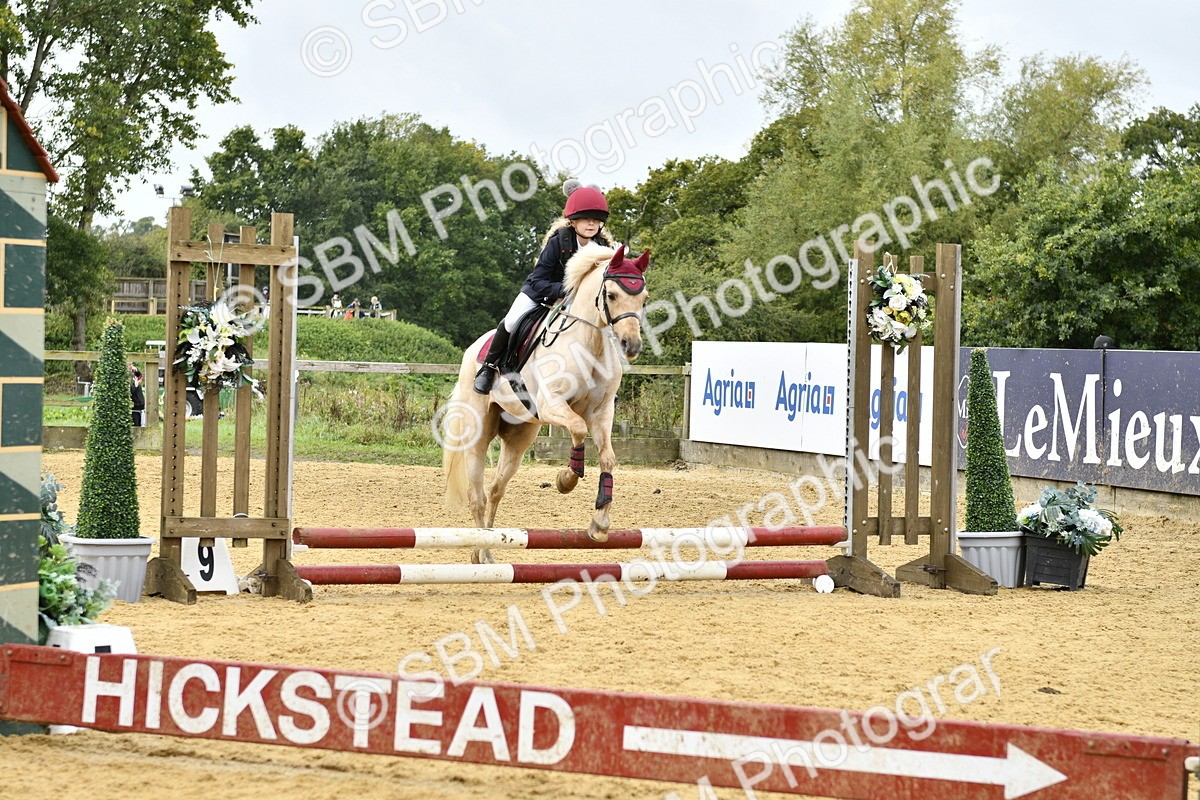 SBM_57404 - J61 - Mini Clear Round 30cm & 40cm