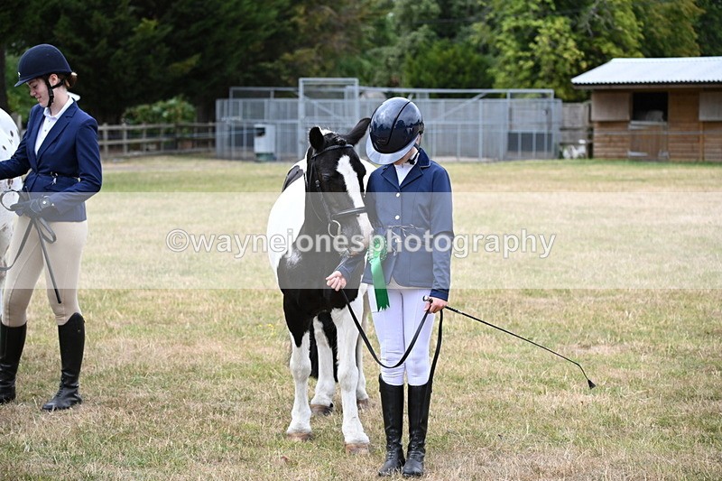 WJ6_4504 - Class 10 Coloured In-hand
