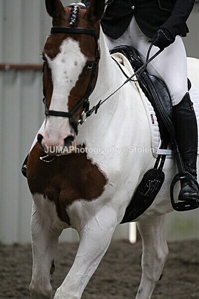 SIAL4486 - CAbin Dressage 5th july 2025