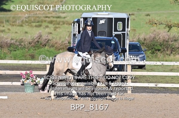 BPP_8167 - SHORT ARENA