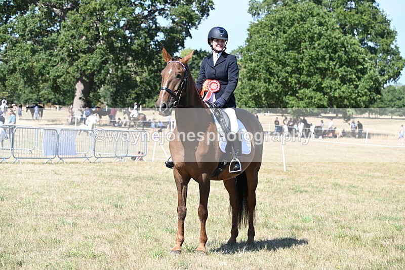 WJ6_9063 - Class 38 Ridden Riding Horse/Pony