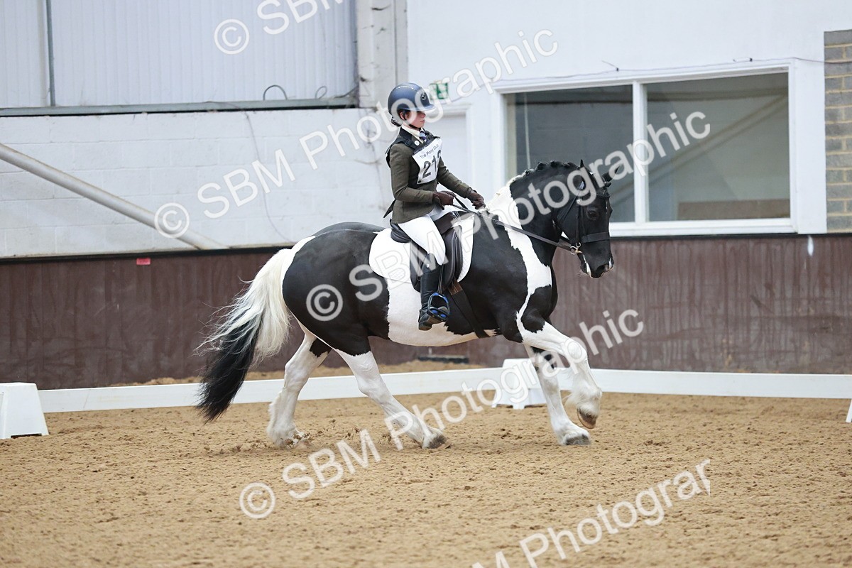 SBM_003880 - Class 2 - Novice 2020