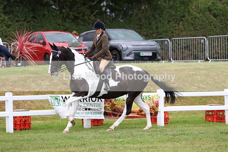 3E7A0955 - Class 8: Open Riding Horse/Hack