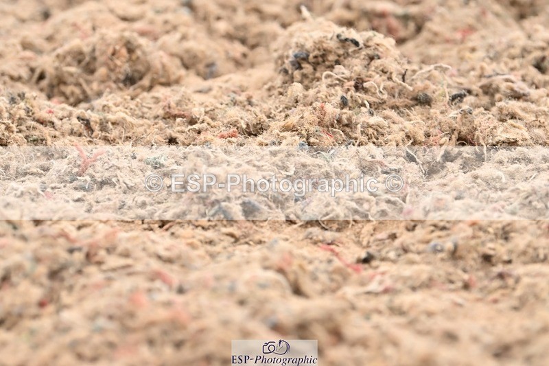 250705-175521-03983 - BRCP4 Sections BRCP4SNR, BRCP4JNR 13.50 to 14.53