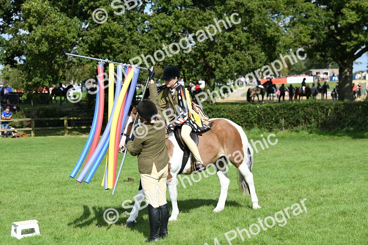 SBM_47123 - S12 - Family Horse & Pony