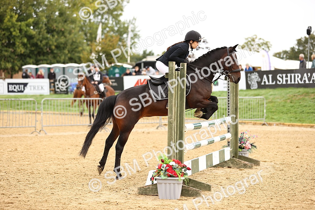 SBM_58298 - J41 - Grand Tour Horse & Pony 95cm