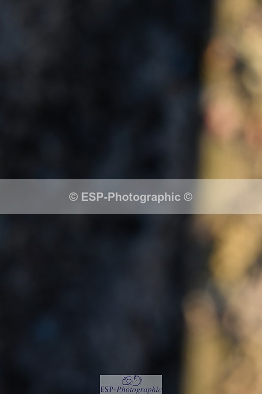 240107A-115024-01448 - UnAff Prelim 7