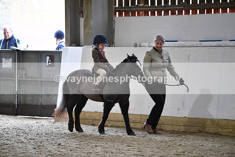 WJ5_6589 - Class 10 Childs Pony