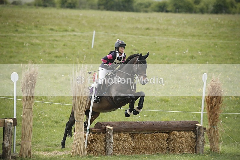 BVHT 140517  NXC -178 - Class 2 XC Novice 14/05/17