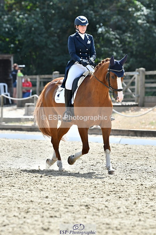 260802A-151354-07322 - Intermediate Bronze