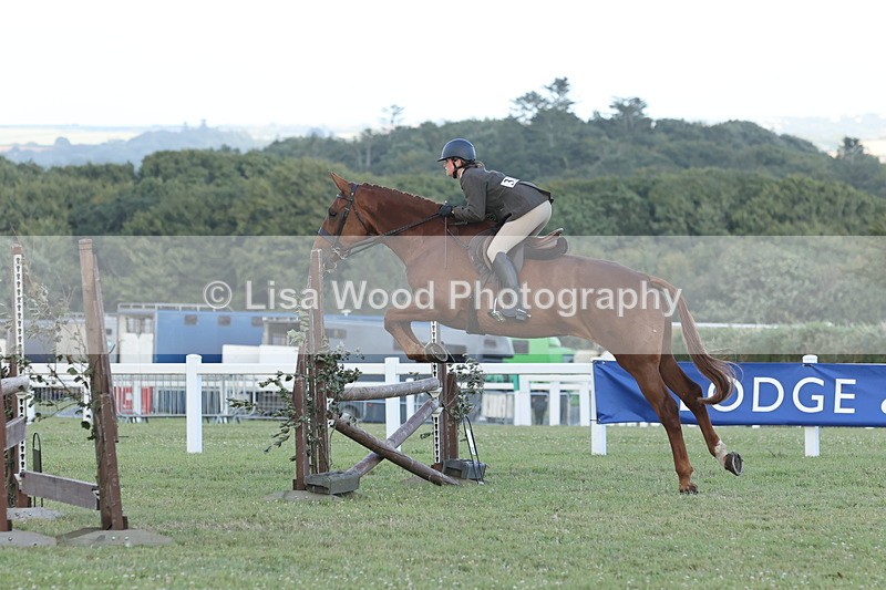 JPP_3657 - Class 24: Open Working Hunter