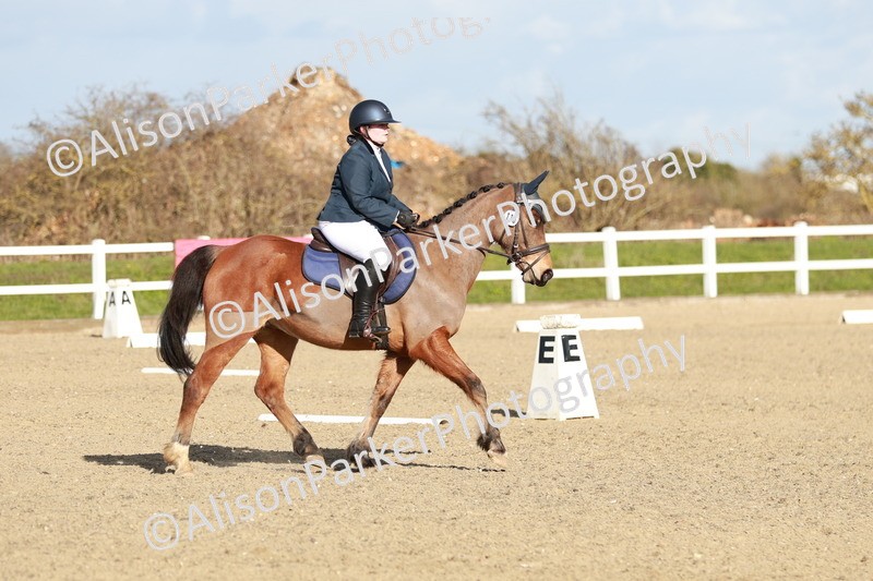 20260314-5321 - DR4 - Prelim 2