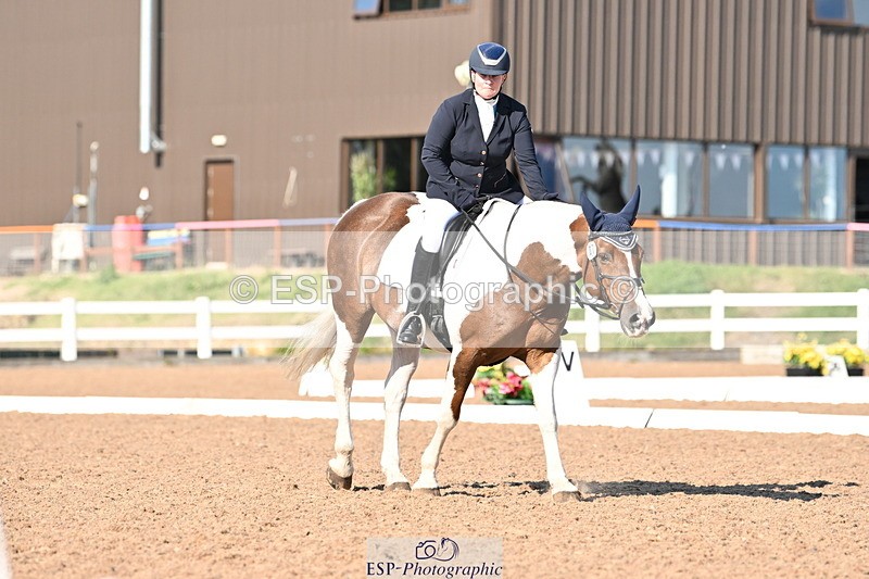 240816A-165209-06296 - 307-Rachel.Cook-Tiger.lily.vi