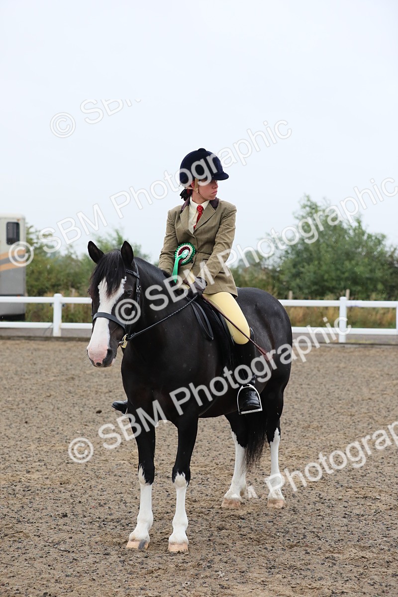 SBM_19974 - Class 801 - Ridden Veteran
