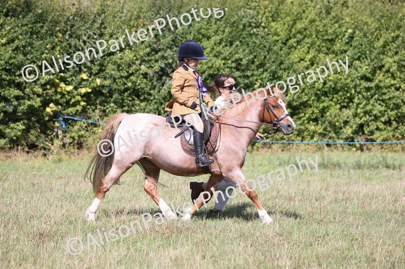 20260906-2355 - Class 16 - Family Pony