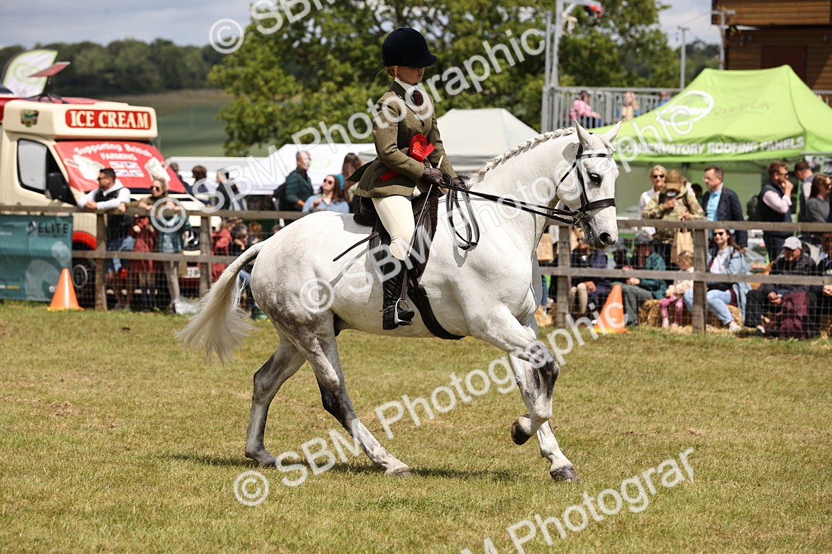 SBM_14791 - Class 88-89 - LIHS BSHA Rising Star of Ridden Hunter Type