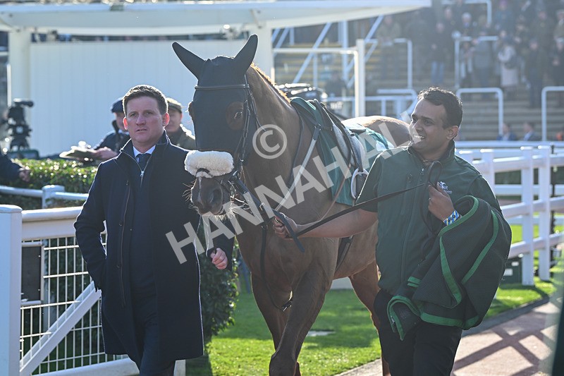 151124-Race 1-Paddock-Double Powerful-7246 - Race 1