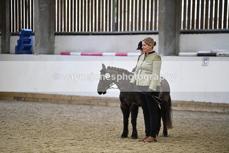WJ5_7010 - Class 10 Childs Pony