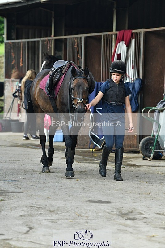 230817-083844-02437 - Stable Shots